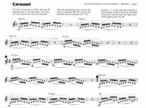 Friedman, David/Samuels, Dave: Carousel bei Musik-Dinge Wien