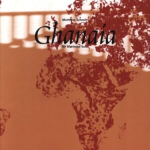 Matthias Schmit Ghanaia Marimba bei Musik-Dinge Wien