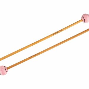 428635870_1117393092940269_5822128656368591680_n