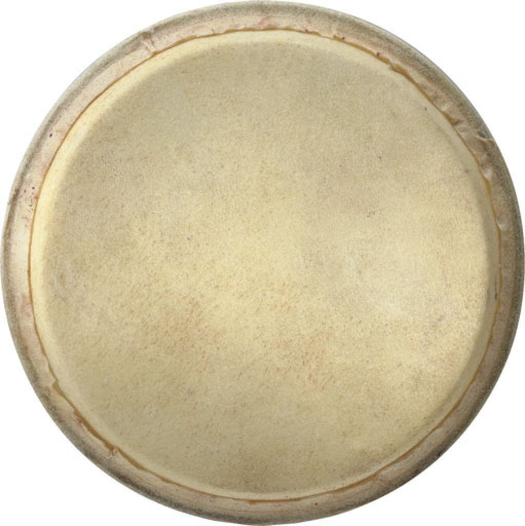 Stagg BW-8.5 HEAD DL 8.5 Zoll Deluxe Fell für BW-300 Bongos bei Musik-Dinge Wien
