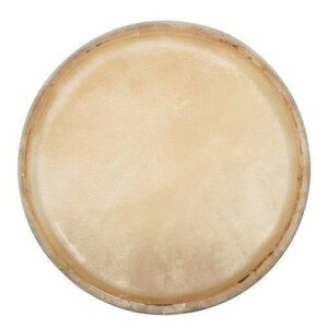 Gewa Club Salsa Congafell 10'' bei Musik-Dinge Wien