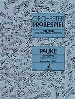 Gschwendtner/Ulrich Orchesterprobespiel Pauke/Schlagzeug bei Musik-Dinge Wien