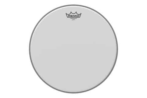Ambasador White Coated.jpg