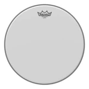 Ambasador White Coated.jpg