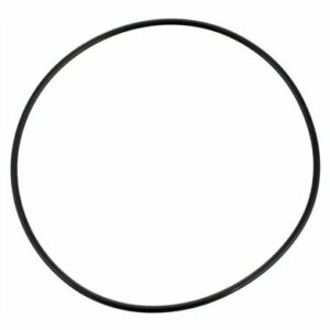 Studio 49 RV-Antriebsriemen