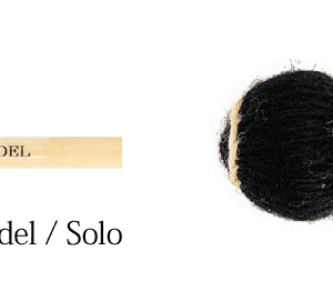 Hitoshi Hamada Model Ensemble.png